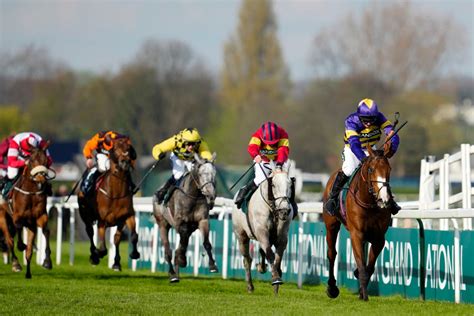 Grand National 2016 betting guide: Five horses to watch out for.